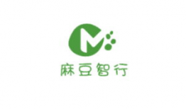 麻豆智行,引领未来出行新潮流